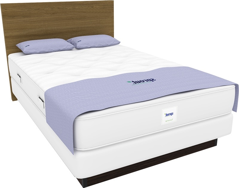 Sprout Mattresses at Cottswood The Pinnacle of Mattresses Locally